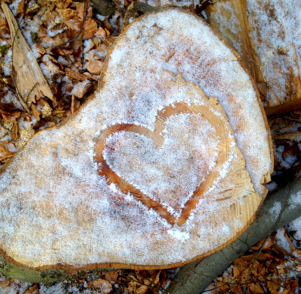 In den Schnee auf einem abgesägtem Baumstamm, ist ein Liebesherz gezeichnet.